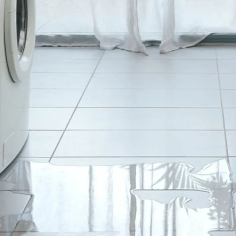 Appliance Leak Cleanup in Algona, WA