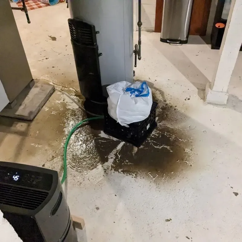 Sewage Backup Cleanup Service in Algona, WA